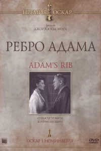 Ребро Адама 