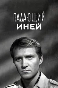 Падающий иней 